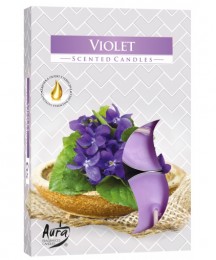 Vela Rech Aromtica Violet
