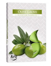 Vela Rech Aromtica Olive Grove