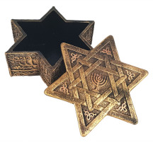 Estrela de Davi Porta Joia