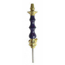 Stem Amazon Pride Blue Gold
