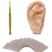 Kit Semente Auricular + Sonda Aplicadora + Orelha 17cm