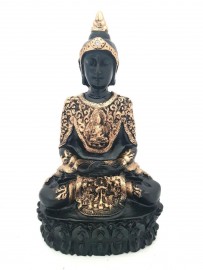 Buda Meditando