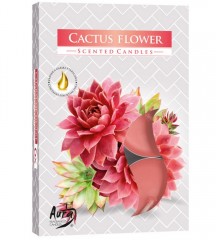 Vela Rechô Aromática Cactus Flower