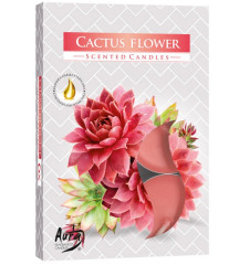 Vela Rech� Arom�tica Cactus Flower