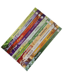 Incenso de Jardim Gigante (Kit 10 Caixas)