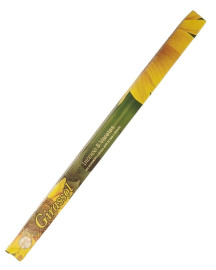 Incenso Girassol - Flute