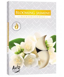 Vela Rech Aromtica Blooming Jasmine