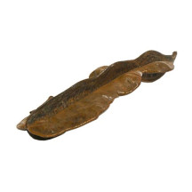 Fava de Arid�